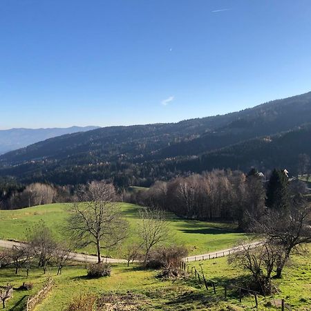 Mauthnerhube Uebernachten Mit Aussicht Apartment Sankt Oswald ob Eibiswald Екстериор снимка