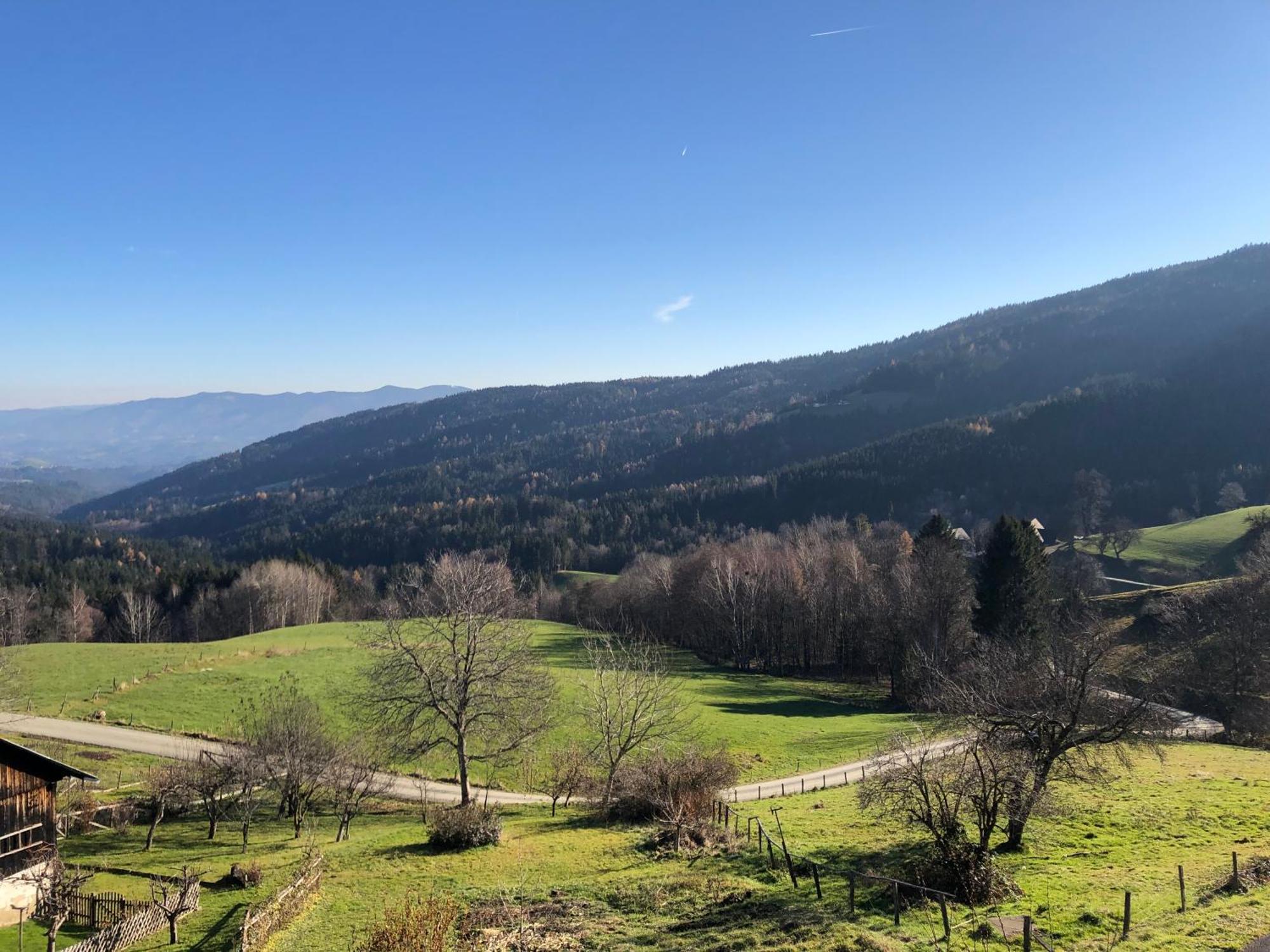 Mauthnerhube Uebernachten Mit Aussicht Apartment Sankt Oswald ob Eibiswald Екстериор снимка